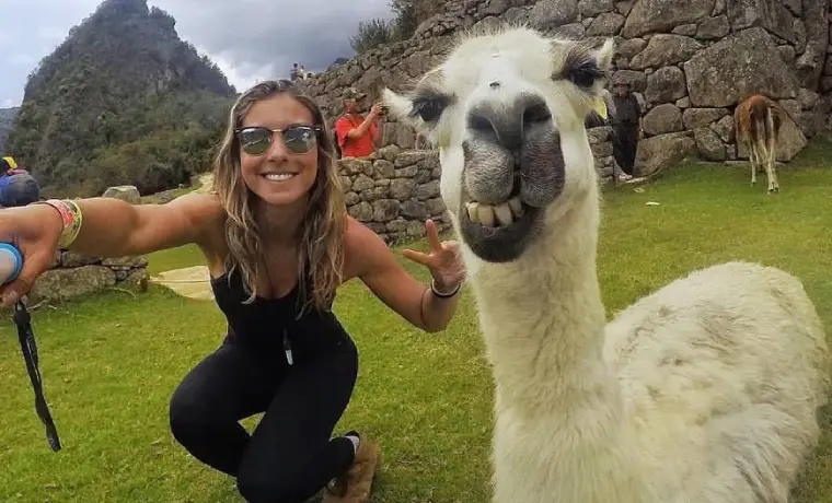 Machu Picchu 5 dias - Tradições Vivas