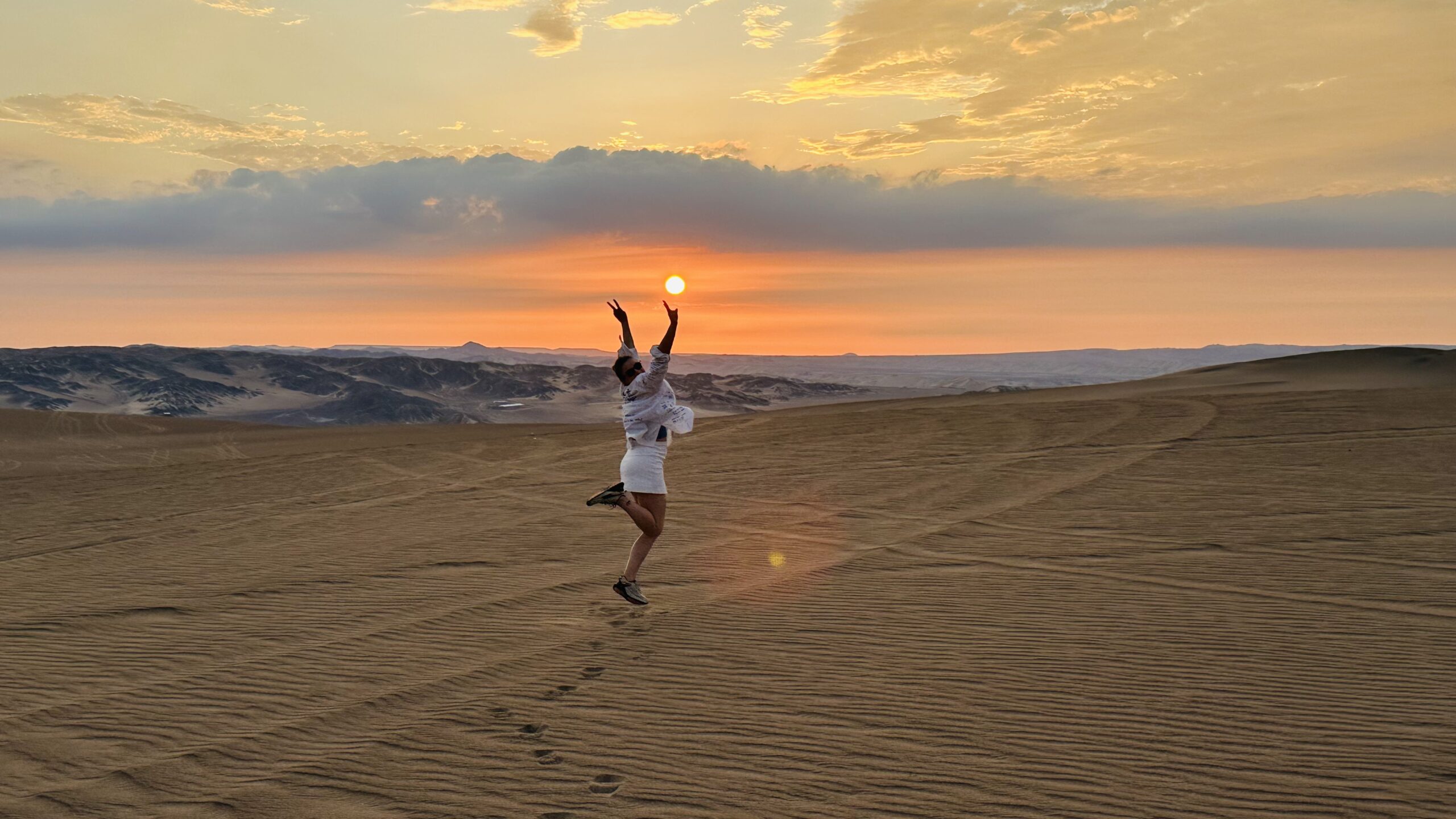 Ilas Ballestas e Deserto de Huacachina